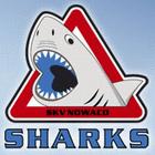 Sharks Karlovy Vary.JPG